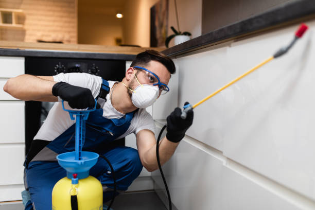 Best Pest Inspection Near Me  in Hazardville, CT