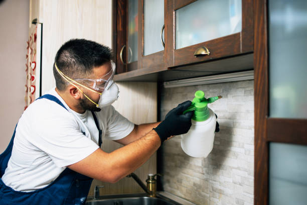Best Pest Removal Services  in Hazardville, CT