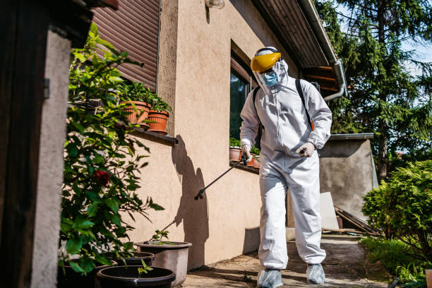 Best Flea Control Services  in Hazardville, CT