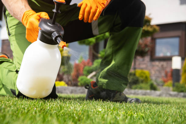 Best Bird Control  in Hazardville, CT