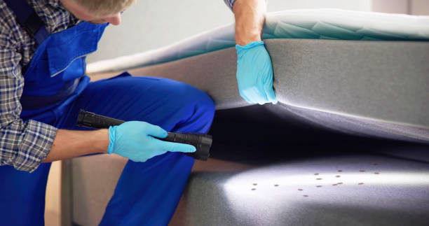 Best Pest Control for Homes  in Hazardville, CT